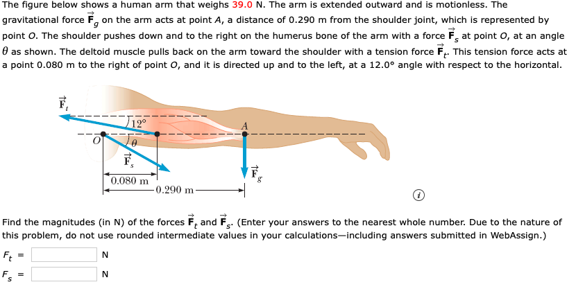 The figure below shows a human arm that weighs 39.0 N. The arm is extended outward and is motionless. The
gravitational force F on the arm acts at point A, a distance of 0.290 m from the shoulder joint, which is represented by
point O. The shoulder pushes down and to the right on the humerus bone of the arm with a force Fg at point O, at an angle
0 as shown. The deltoid muscle pulls back on the arm toward the shoulder with a tension force F. This tension force acts at
a point 0.080 m to the right of point O, and it is directed up and to the left, at a 12.0° angle with respect to the horizontal.
0.080 m
0.290 m
Find the magnitudes (in N) of the forces F, and F. (Enter your answers to the nearest whole number. Due to the nature of
this problem, do not use rounded intermediate values in your calculations-including answers submitted in WebAssign.)
Ft
N
