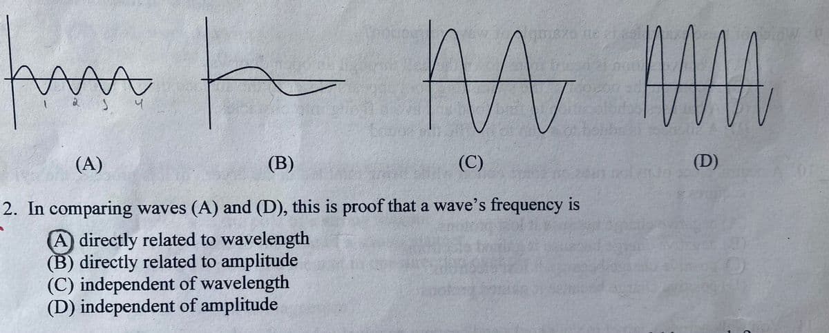 mezo ne et|
on
(A)
(B)
(C)
(D)
2. In comparing waves (A) and (D), this is proof that a wave's frequency is
A directly related to wavelength
(B) directly related to amplitude
(C) independent of wavelength
(D) independent of amplitude

