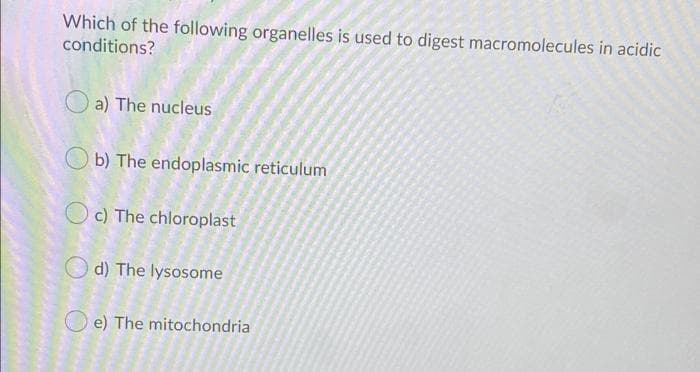 Which of the following organelles is used to digest macromolecules in acidic
conditions?
a) The nucleus
Ob) The endoplasmic reticulum
Oc) The chloroplast
d) The lysosome
e) The mitochondria