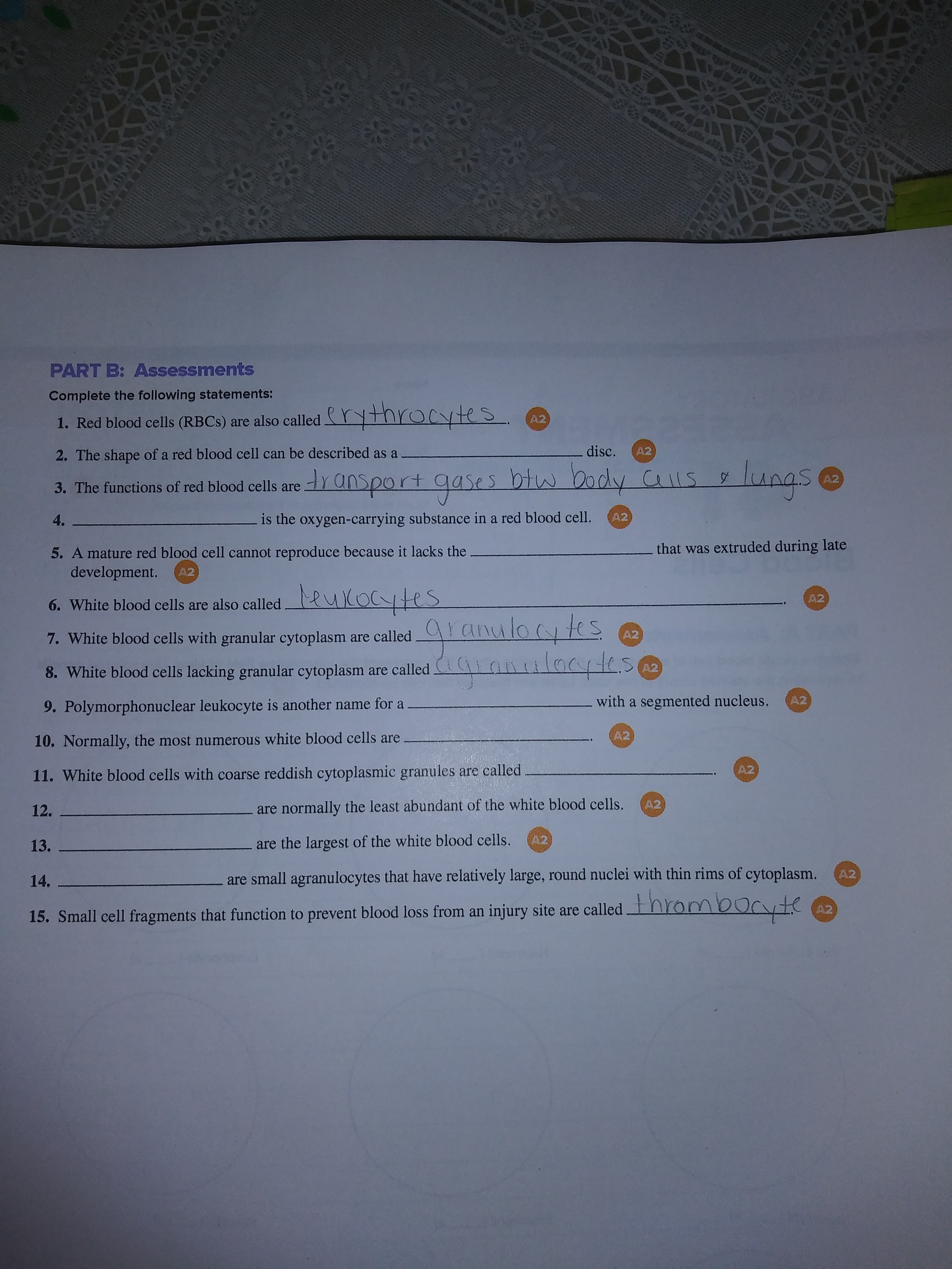 PART B: Assessments
Complete the following statements:
1. Red blood cells (RBCs) are also called r thro
yte
A2
2. The shape of a red blood cell can be described as a
3. The functions of red blood cells are
4
5. A mature red blood cell cannot reproduce because it lacks the
disc.
42
A2
is the oxygen-carrying substance in a red blood cell. 2
that was extruded during late
development. 2
6. White blood cells are also called puloryles
02
A2
7. White blood cells with granular cytoplasm are called
acres
A2
8. White blood cells lacking granular cytoplasm are called
with a segmented nucleus. A2
9. Polymorphonuclear leukocyte is another name for a
10. Normally, the most numerous white blood cells are
11. White blood cells with coarse reddish cytoplasmic granules are called
12.
13.
14.
15. Small cell fragments that function to prevent blood loss from an injury site are called
A2
A2
are normally the least abundant of the white blood cells.
are the largest of the white blood cells.
A2
A2
A2
are small agranulocytes that have relatively large, round nuclei with thin rims of cytoplasm
nrombo
