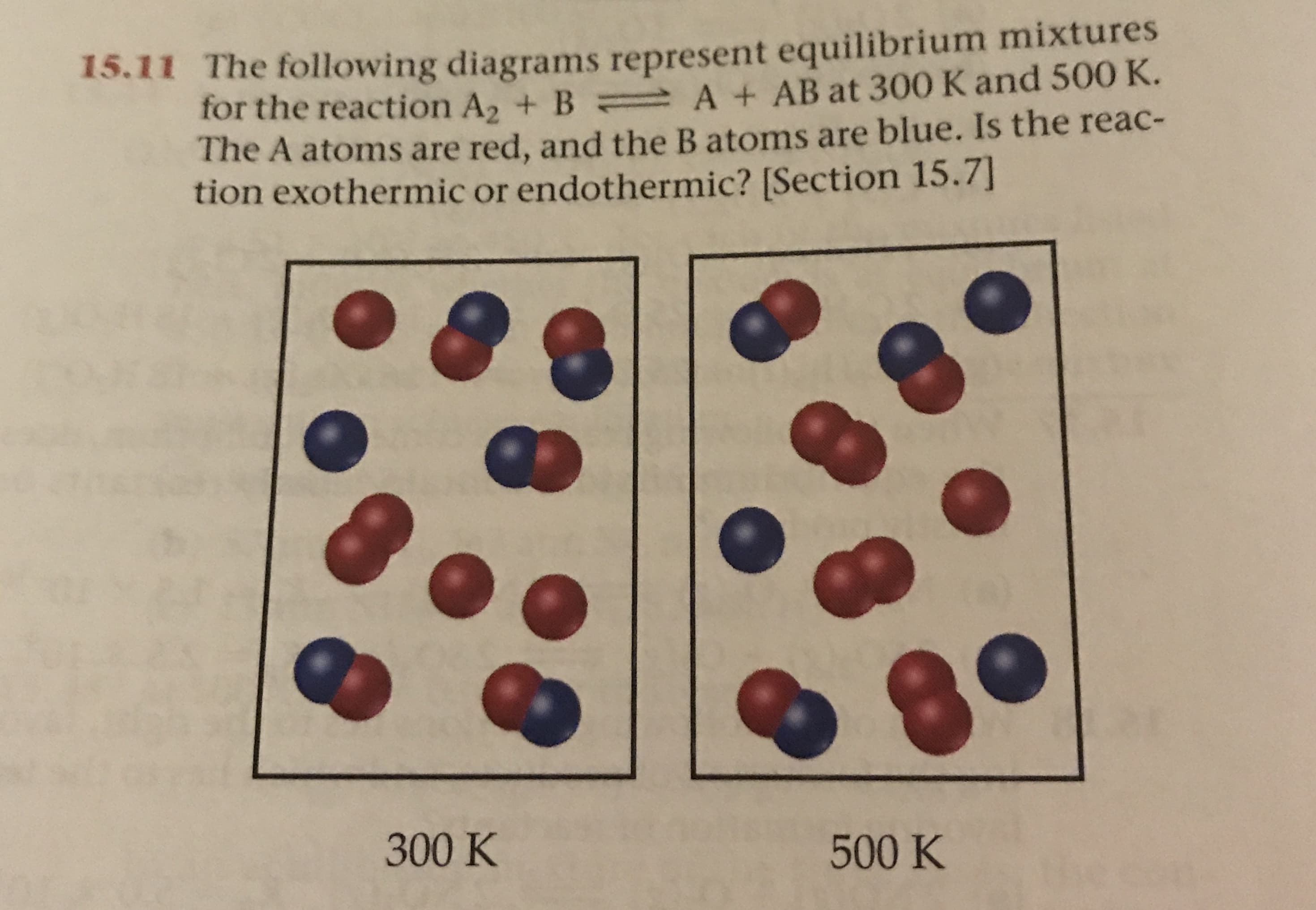 15.11 The following diagrams represent equilibrium mixtures
for the reaction A2 + B A+ AB at 300 K and 500 K.
The A atoms are red, and the B atoms are blue. Is the reac-
tion exothermic or endothermic? [Section 15.7]
300 K
500 K

