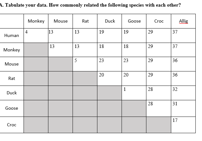 A. Tabulate your data. How commonly related the following species with each other?
Monkey
Mouse
Rat
Duck
Goose
Croc
Allig
4
Human
13
13
19
19
29
37
|13
13
18
18
29
37
Monkey
5
23
23
29
36
Mouse
20
20
29
36
Rat
1
28
32
Duck
28
31
Goose
17
Croc
