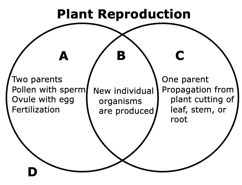 Plant Reproduction
A
Two parents
One parent
Pollen with sperm New individual Propagation from
organisms
are produced,
Ovule with egg
plant cutting of
leaf, stem, or
Fertilization
root
D
