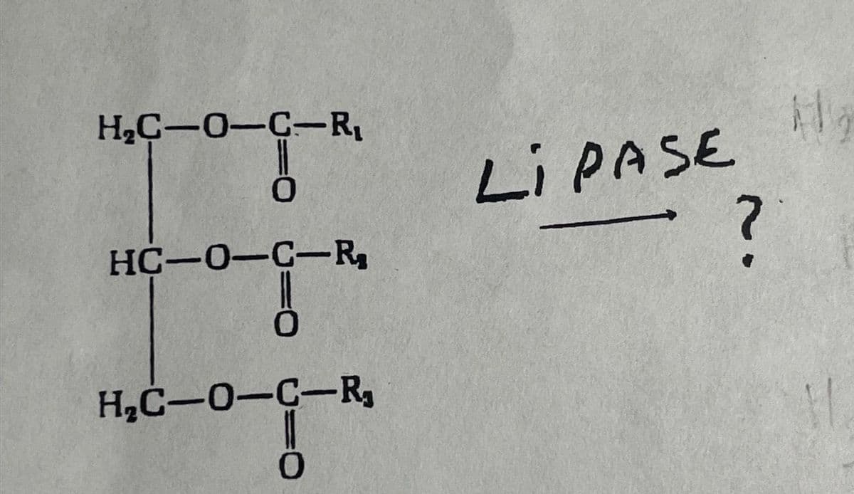 H₂C-O-C-R₁
!!
HC-0-C-R₂
ő
H₂C-0-C-R₁
0
Li PASE
?
H