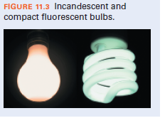 FIGURE 11.3 Incandescent and
compact fluorescent bulbs.
