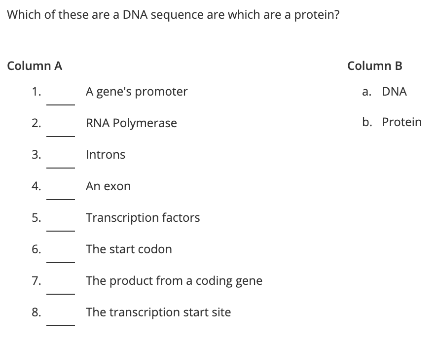 Which of these are a DNA sequence are which are a protein?
Column A
Column B
1.
A gene's promoter
a. DNA
2.
RNA Polymerase
b. Protein
3.
Introns
An exon
Transcription factors
6.
The start codon
7.
The product from a coding gene
8.
The transcription start site
4.
5.
