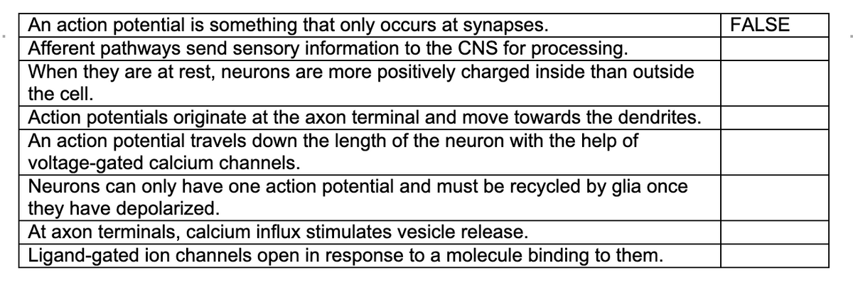 An action potential is something that only occurs at synapses.
Afferent pathways send sensory information to the CNS for processing.
When they are at rest, neurons are more positively charged inside than outside
the cell.
FALSE
Action potentials originate at the axon terminal and move towards the dendrites.
An action potential travels down the length of the neuron with the help of
voltage-gated calcium channels.
Neurons can only have one action potential and must be recycled by glia once
they have depolarized.
At axon terminals, calcium influx stimulates vesicle release.
Ligand-gated ion channels open in response to a molecule binding to them.
