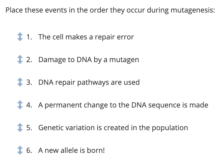 Place these events in the order they occur during mutagenesis:
1 1. The cell makes a repair error
t 2. Damage to DNA by a mutagen
3. DNA repair pathways are used
1 4. A permanent change to the DNA sequence is made
1 5. Genetic variation is created in the population
1 6. A new allele is born!
