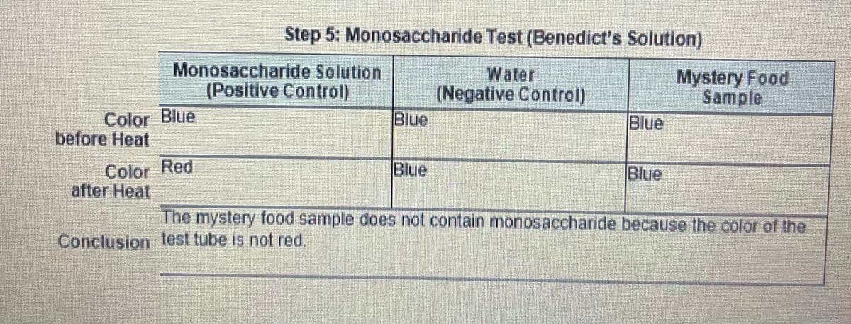 Step 5: Monosaccharide Test (Benedict's Solution)
Monosaccharide Solution
(Positive Control)
Water
(Negative Control)
Blue
Mystery Food
Sample
Color Blue
before Heat
Blue
Color Red
after Heat
Blue
Blue
The mystery food sample does not contain monosaccharnde because the color of the
Conclusion test tube is not red.
