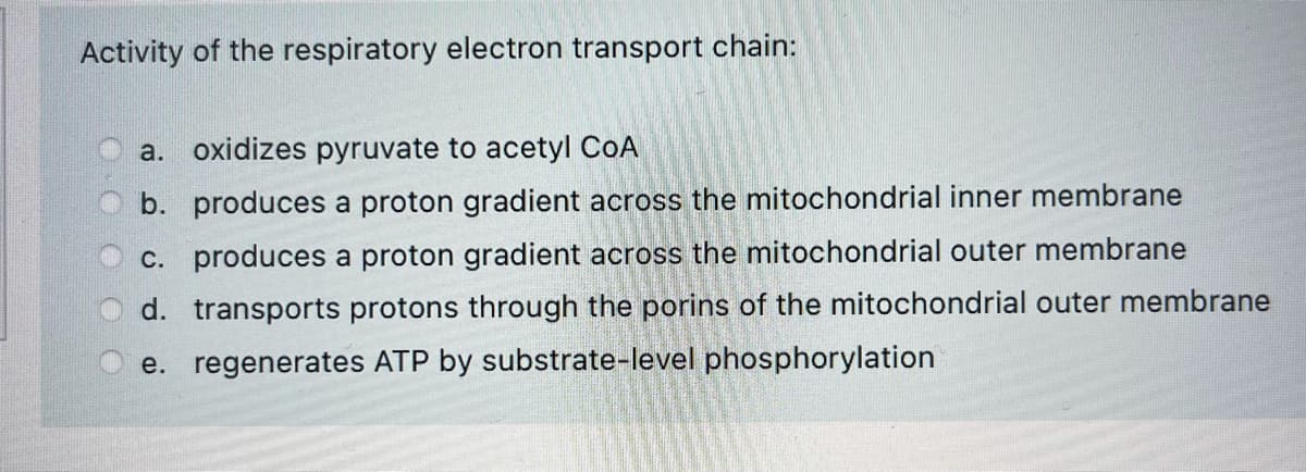 Activity of the respiratory electron transport chain:
a. oxidizes pyruvate to acetyl CoA
b. produces a proton gradient across the mitochondrial inner membrane
C. produces a proton gradient across the mitochondrial outer membrane
d. transports protons through the porins of the mitochondrial outer membrane
e. regenerates ATP by substrate-level phosphorylation
