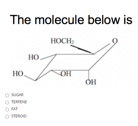 The molecule below is
HOCH2
HO.
HO.
OH
O SUGAR
O TERPENE
O FAT
O STEROID
