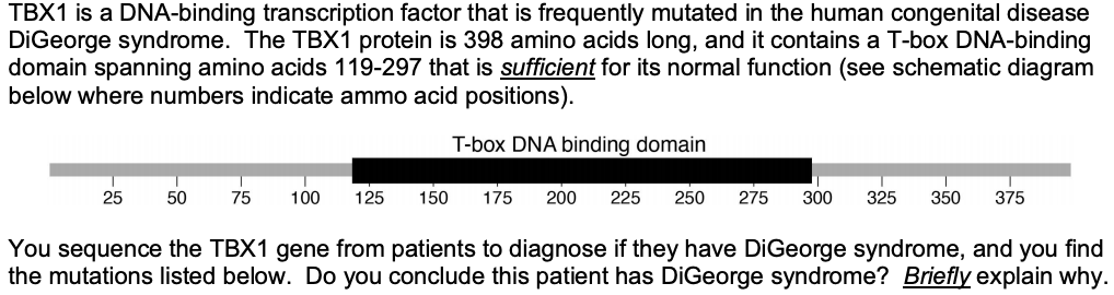 TBX1 is a DNA-binding transcription factor that is frequently mutated in the human congenital disease
DiGeorge syndrome. The TBX1 protein is 398 amino acids long, and it contains a T-box DNA-binding
domain spanning amino acids 119-297 that is sufficient for its normal function (see schematic diagram
below where numbers indicate ammo acid positions).
T-box DNA binding domain
25
50
75
100
125
150
175
200
225
250
275
300
325
350
375
You sequence the TBX1 gene from patients to diagnose if they have DiGeorge syndrome, and you find
the mutations listed below. Do you conclude this patient has DiGeorge syndrome? Briefly explain why.
