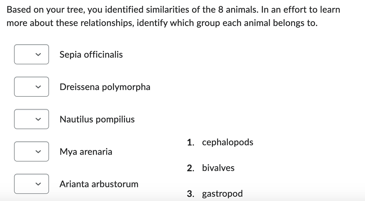 Based on your tree, you identified similarities of the 8 animals. In an effort to learn
more about these relationships, identify which group each animal belongs to.
IOOD
Sepia officinalis
Dreissena polymorpha
Nautilus pompilius
Mya arenaria
Arianta arbustorum
1. cephalopods
2. bivalves
3. gastropod