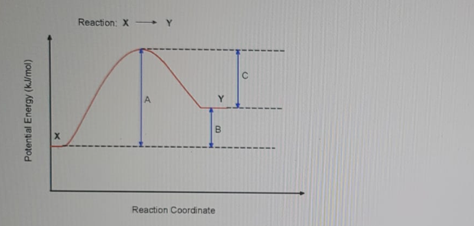 Reaction: X -
A
Reaction Coordinate
Potential Energy (kJ/mol)
