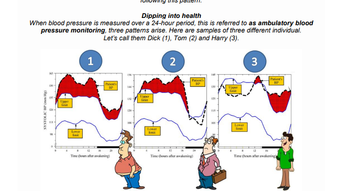 Dipping into health
When blood pressure is measured over a 24-hour period, this is referred to as ambulatory blood
pressure monitoring, three patterns arise. Here are samples of three different individual.
Let's call them Dick (1), Tom (2) and Harry (3).
1
2
Patient's
BP
Paient's
BP
Pationt's
BP
190
13
Upper
limit
Uper
limit
Lpper
limit
124
II
Loner
limit
Loner
limit
Lower
limit
12
Time (hours after awakening)
Time (hours afler awakening)
Time (hours afer awakening
3.
(H ) rIOISAS
