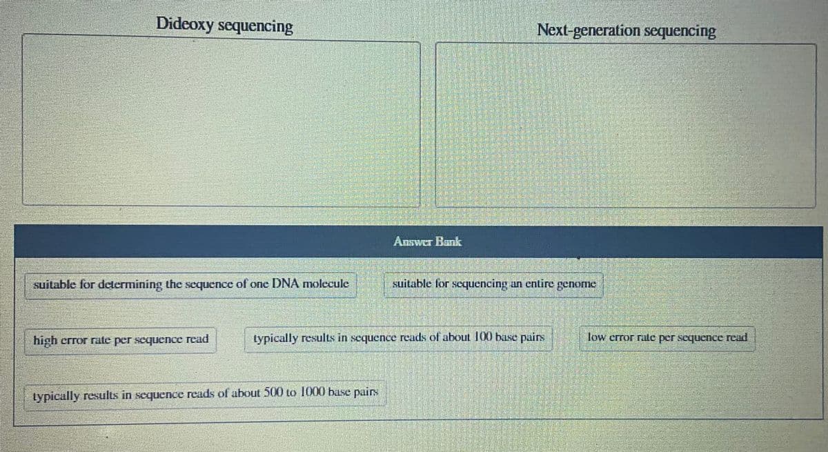 Dideoxy sequencing
suitable for determining the sequence of one DNA molecule
high error rate per sequence read
Answer Bank
typically results in sequence reads of about 500 to 1000 base pairs
Next-generation sequencing
suitable for sequencing an entire genome
typically results in sequence reads of about 100 base pairs
low error rate per sequence read