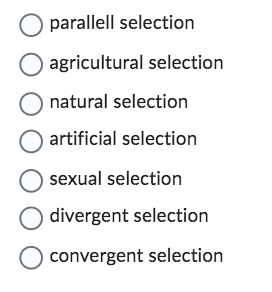 O parallell selection
O agricultural selection
O natural selection
O artificial selection
O sexual selection
divergent selection
O convergent selection