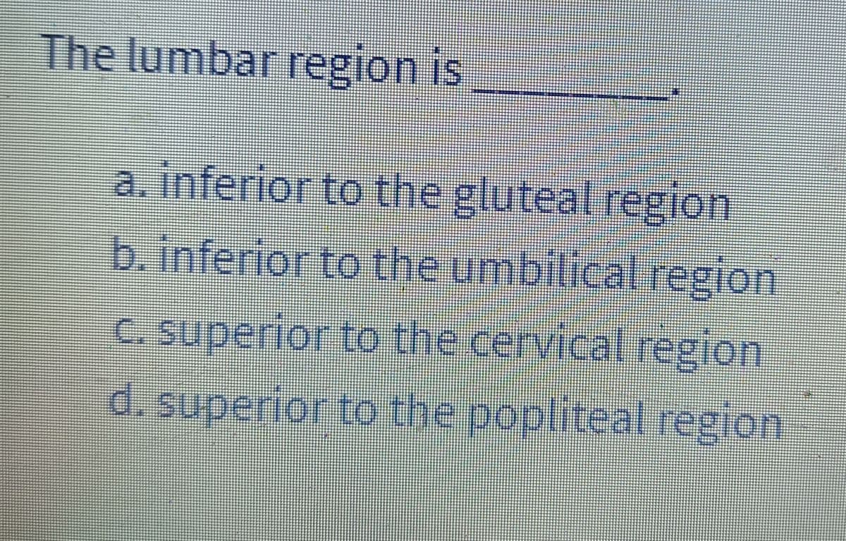 The lumbar region is
a. inferior to the gluteal region
b. inferior to the umbilical region
c. superior to the cervical region
d. superior to the popliteal region