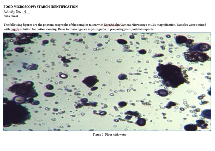 FOOD MICROSCOPY: STARCH IDENTIFICATION
Activity No. 4
Data Sheet
The following figures are the photomierographs of the samples taken with KovasSohu Camera Microscope at 10x magnification. Samples were stained
with Lugols solution for better viewing. Refer to these figures as your guide in preparing your post-lab reports.
Figure 1. Flour with water
