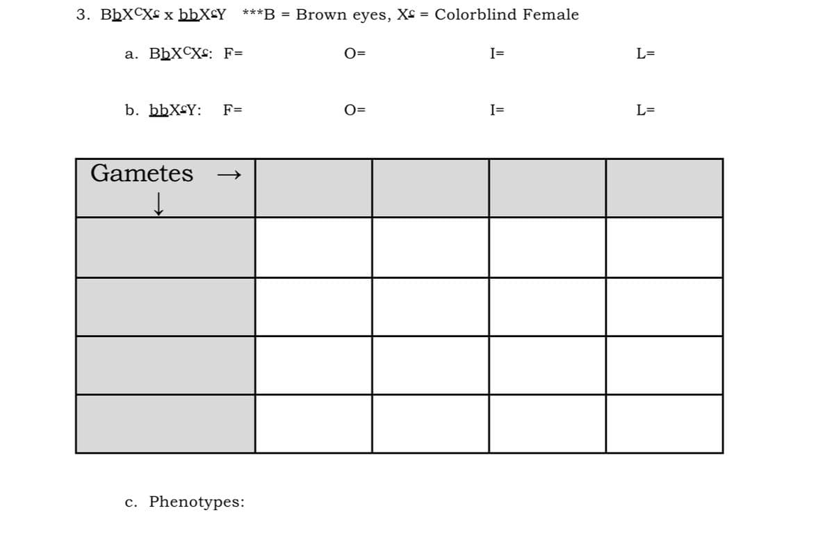 3. BbXCX£ x bbX£Y___***B = Brown eyes, Xº = Colorblind Female
a. BbXCX: F=
b. bbX<Y: F=
Gametes
c. Phenotypes:
O=
O=
I=
I=
L=
L=
