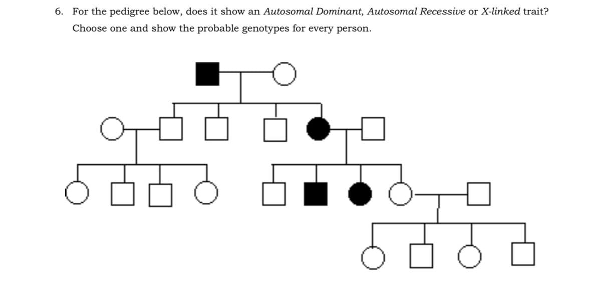 6. For the pedigree below, does it show an Autosomal Dominant, Autosomal Recessive or X-linked trait?
Choose one and show the probable genotypes for every person.
어머머