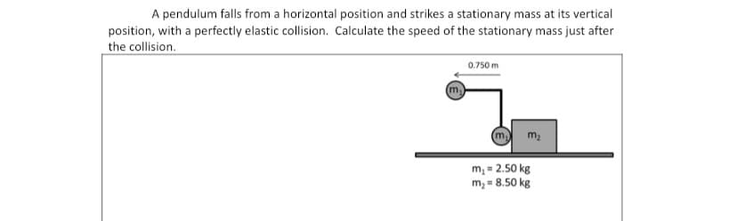 A pendulum falls from a horizontal position and strikes a stationary mass at its vertical
position, with a perfectly elastic collision. Calculate the speed of the stationary mass just after
the collision.
0.750 m
m2
m, = 2.50 kg
m, = 8.50 kg
%3D
