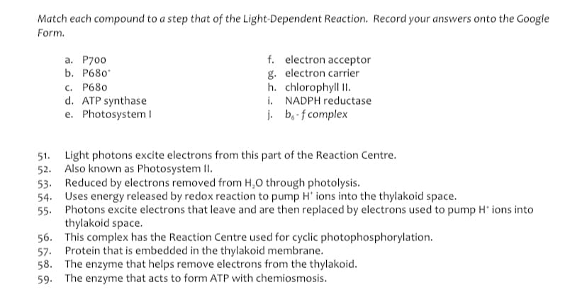 Match each compound to a step that of the Light-Dependent Reaction. Record your answers onto the Google
Form.
f. electron acceptor
g. electron carrier
h. chlorophyll II.
i. NADPH reductase
j. b,-f complex
а. Р700
b. Р680°
c. P680
d. ATP synthase
e. Photosystem I
51. Light photons excite electrons from this part of the Reaction Centre.
52. Also known as Photosystem II.
53. Reduced by electrons removed from H,O through photolysis.
54. Uses energy released by redox reaction to pump H" ions into the thylakoid space.
55. Photons excite electrons that leave and are then replaced by electrons used to pump H* ions into
thylakoid space.
56. This complex has the Reaction Centre used for cyclic photophosphorylation.
57. Protein that is embedded in the thylakoid membrane.
58. The enzyme that helps remove electrons from the thylakoid.
59. The enzyme that acts to form ATP with chemiosmosis.
