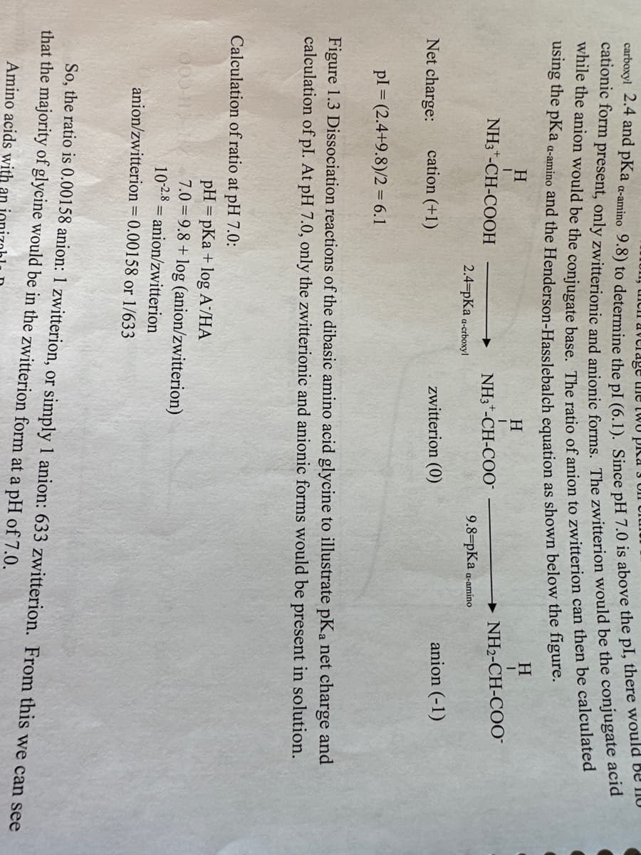en average the two pra s
carboxyl 2.4 and pKa a-amino 9.8) to determine the pI (6.1). Since pH 7.0 is above the pl, there would be no
cationic form present, only zwitterionic and anionic forms. The zwitterion would be the conjugate acid
while the anion would be the conjugate base. The ratio of anion to zwitterion can then be calculated
using the pKa a-amino and the Henderson-Hasslebalch equation as shown below the figure.
H
H
I
I
NH2-CH-COO™
NH3 -CH-COOH
Net charge:
cation (+1)
2.4=pKa a-crboxyl
Calculation of ratio at pH 7.0:
H
I
NH3-CH-COO™
zwitterion (0)
9.8=pKa a-amino
pl= (2.4+9.8)/2 = 6.1
Figure 1.3 Dissociation reactions of the dibasic amino acid glycine to illustrate pKa net charge and
calculation of pl. At pH 7.0, only the zwitterionic and anionic forms would be present in solution.
pH =pKa + log A/HA
7.0 9.8+ log (anion/zwitterion)
10-2.8
anion/zwitterion
anion/zwitterion = 0.00158 or 1/633
anion (-1)
So, the ratio is 0.00158 anion: 1 zwitterion, or simply 1 anion: 633 zwitterion. From this we can see
that the majority of glycine would be in the zwitterion form at a pH of 7.0.
Amino acids with an