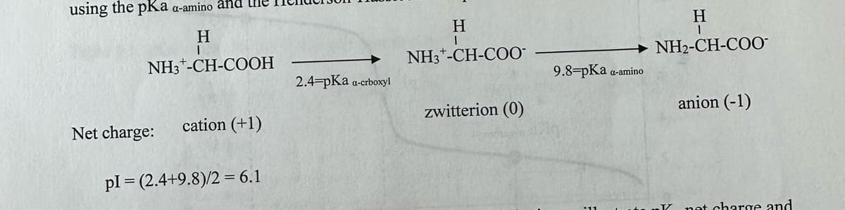 using the pka a-amino and the
H
I
NH3 -CH-COOH
Net charge:
cation (+1)
pl = (2.4+9.8)/2= 6.1
2.4-pka a-crboxyl
H
I
NH3-CH-COO™
zwitterion (0)
9.8=pKa a-amino
H
I
NH2-CH-COO™
anion (-1)
net charge and