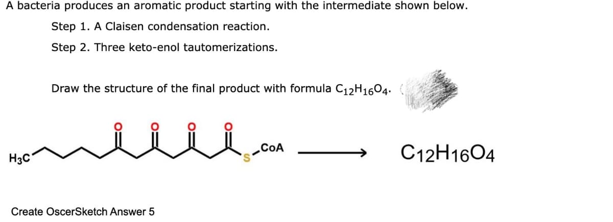 A bacteria produces an aromatic product starting with the intermediate shown below.
Step 1. A Claisen condensation reaction.
Step 2. Three keto-enol tautomerizations.
Draw the structure of the final product with formula C12H1604.
CoA
H3C
C12H1604
Create OscerSketch Answer 5
