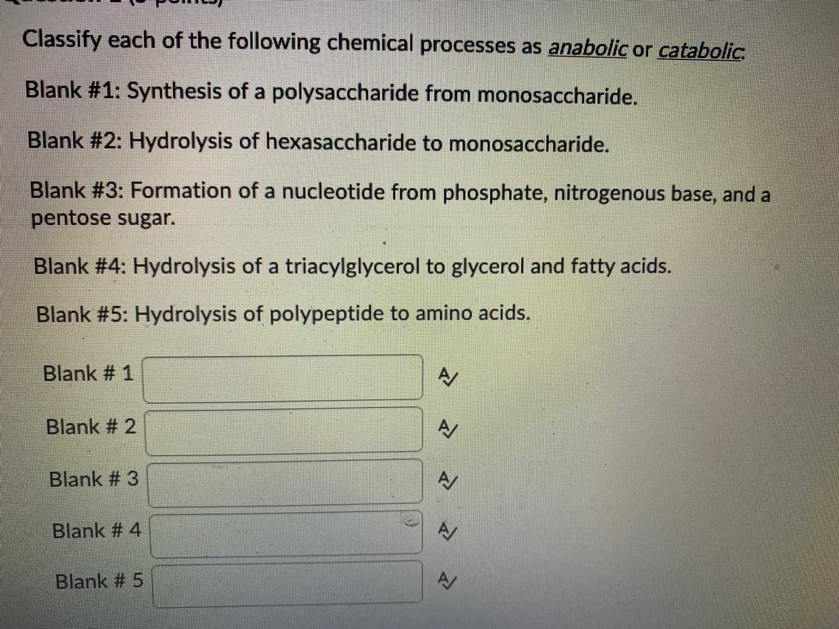 Classify each of the following chemical processes as anabolic or catabolic.
Blank #1: Synthesis of a polysaccharide from monosaccharide.
Blank #2: Hydrolysis of hexasaccharide to monosaccharide.
Blank #3: Formation of a nucleotide from phosphate, nitrogenous base, and a
pentose sugar.
Blank #4: Hydrolysis of a triacylglycerol to glycerol and fatty acids.
Blank #5: Hydrolysis of polypeptide to amino acids.
Blank # 1
Blank # 2
Blank # 3
Blank # 4
Blank # 5
