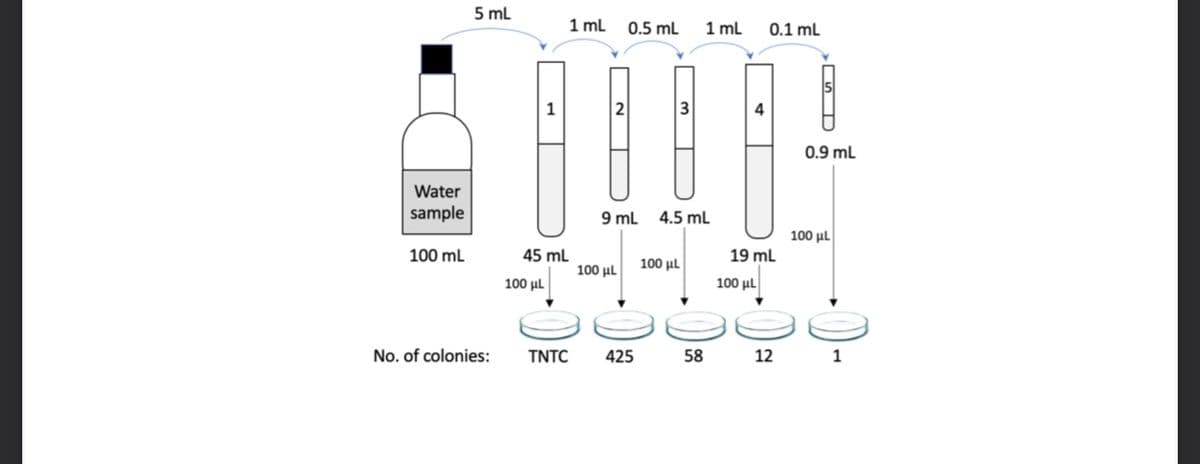 5 mL
1 ml
0.5 ml
1 ml
0.1 mL
1
0.9 mL
Water
sample
9 ml
4.5 ml
100 μι
100 mL
45 mL
19 ml
100 μι
100 μι
100 μι
100 μι
No. of colonies:
TNTC
425
58
12 1
