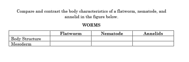 Compare and contrast the body characteristics of a flatworm, nematode, and
annelid in the figure below.
WORMS
Flatworm
Nematode
Annelids
Body Structure
Mesoderm
