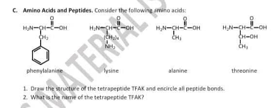C. Amino Acids and Peptides. Consider the following amino acids:
H₂N-CH-C-OH
CH₂
phenylalanine
ATERO
1. Draw the structure
2. What is the name of the tetrapeptide TFAK?
H₂N-CH2-OH
CH₂
alanine
H₂N-CH-L-OH
CH-OH
CH₂
of the tetrapeptide TFAK and encircle all peptide bonds.
threonine.