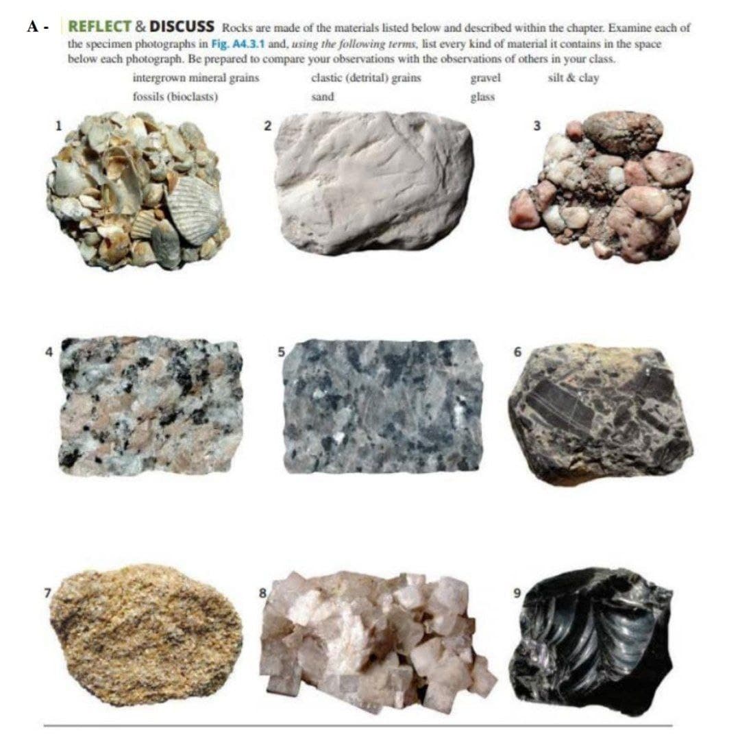 A -
REFLECT & DISCUSS Rocks are made of the materials listed below and described within the chapter. Examine each of
the specimen photographs in Fig. A4.3.1 and, using the following terms, list every kind of material it contains in the space
below each photograph. Be prepared to compare your observations with the observations of others in your class.
intergrown mineral grains
clastic (detrital) grains
gravel
silt & clay
fossils (bioclasts)
sand
glass
7.
