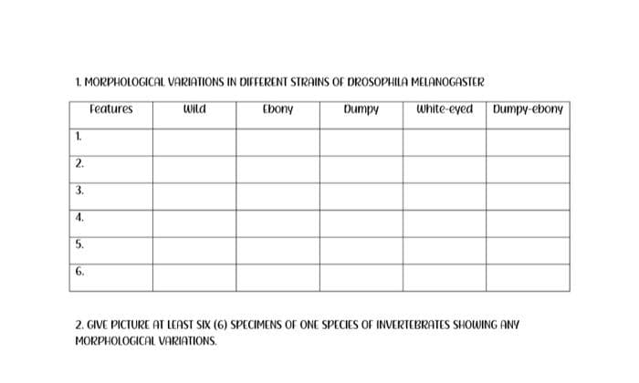 1. MORPHOLOGICAL VARIATIONS IN DIFFERENT STRAINS OF DROSOPHILA MELANOGASTER
Features
Wild
Ebony
Dumpy
White-eyed Dumpy-ebony
1.
2.
3.
4.
5.
6.
2. GIVE PICTURE AT LEAST SIX (6) SPECIMENS OF ONE SPECIES OF INVERTEBRATES SHOWING ANY
MORPHOLOGICAL VARIATIONS.
