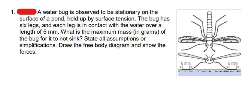1.
A water bug is observed to be stationary on the
surface of a pond, held up by surface tension. The bug has
six legs, and each leg is in contact with the water over a
length of 5 mm. What is the maximum mass (in grams) of
the bug for it to not sink? State all assumptions or
simplifications. Draw the free body diagram and show the
forces.
5 mm
5 mm