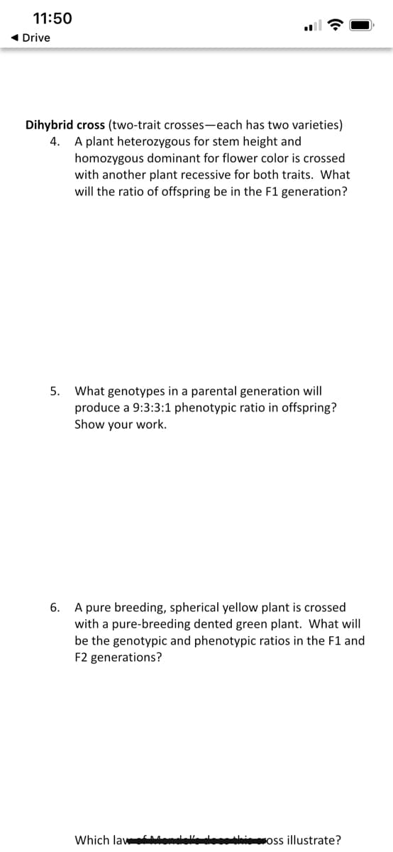 11:50
1 Drive
Dihybrid cross (two-trait crosses-each has two varieties)
4. A plant heterozygous for stem height and
homozygous dominant for flower color is crossed
with another plant recessive for both traits. What
will the ratio of offspring be in the F1 generation?
What genotypes in a parental generation will
produce a 9:3:3:1 phenotypic ratio in offspring?
Show your work.
5.
A pure breeding, spherical yellow plant is crossed
with a pure-breeding dented green plant. What will
be the genotypic and phenotypic ratios in the F1 and
F2 generations?
6.
Which lawe Mnd his oss illustrate?
