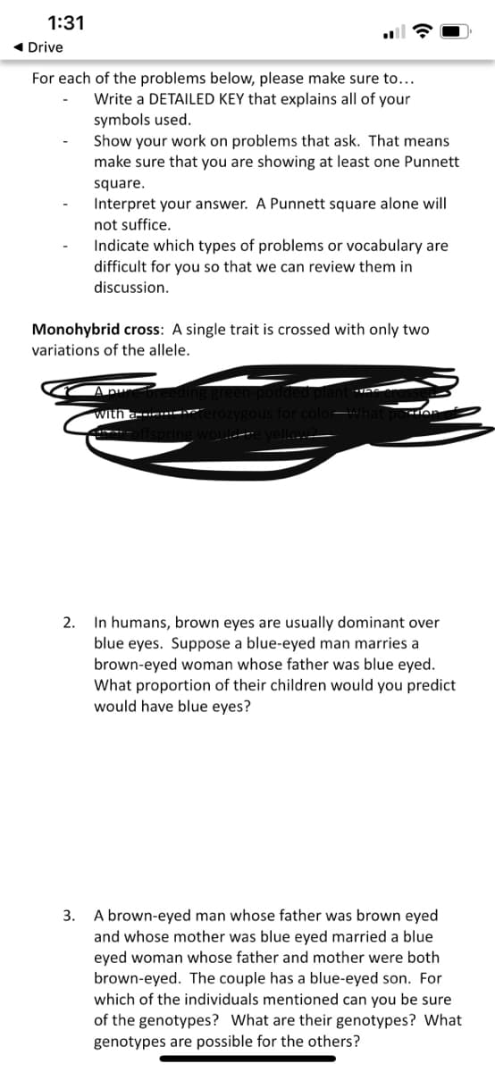 1:31
1 Drive
For each of the problems below, please make sure to...
Write a DETAILED KEY that explains all of your
symbols used.
Show your work on problems that ask. That means
make sure that you are showing at least one Punnett
square.
Interpret your answer. A Punnett square alone will
not suffice.
Indicate which types of problems or vocabulary are
difficult for you so that we can review them in
discussion.
Monohybrid cross: A single trait is crossed with only two
variations of the allele.
with
2.
In humans, brown eyes are usually dominant over
blue eyes. Suppose a blue-eyed man marries a
brown-eyed woman whose father was blue eyed.
What proportion of their children would you predict
would have blue eyes?
A brown-eyed man whose father was brown eyed
and whose mother was blue eyed married a blue
eyed woman whose father and mother were both
brown-eyed. The couple has a blue-eyed son. For
which of the individuals mentioned can you be sure
3.
of the genotypes? What are their genotypes? What
genotypes are possible for the others?
