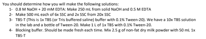 You should determine how you will make the following solutions:
1- 0.8 M NAOH + 20 mM EDTA: Make 250 ml from solid NaOH and 0.5 M EDTA
2- Make 500 ml each of 6x SSC and 2x SSC from 20x SSC
3- TBS-T (This is 1x TBS (or Tris buffered saline) buffer with 0.1% Tween-20). We have a 10x TBS solution
in the lab and a bottle of Tween-20. Make 1 L of 1x TBS with 0.1% Tween-20.
4- Blocking buffer. Should be made fresh each time. Mix 2.5 g of non-fat dry milk powder with 50 mL 1x
TBS-T
