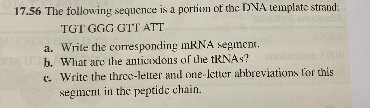 17.56 The following sequence is a portion of the DNA template strand:
TGT GGG GTT ATT
a. Write the corresponding mRNA segment.
What are the anticodons of the tRNAS?
Write the three-letter and one-letter abbreviations for this
segment in the peptide chain.
QUA US b.
c.