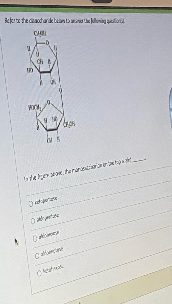 Refer to the disaccharide below to answer the following question(s)
CHOI
HO
11
0
HOHL
Н НО
CHOH
In the figure above, the monosaccharide on the top is an)
Oketopentose
O aldopentose
O aldohexose
O aldoheptose
Oketohexose