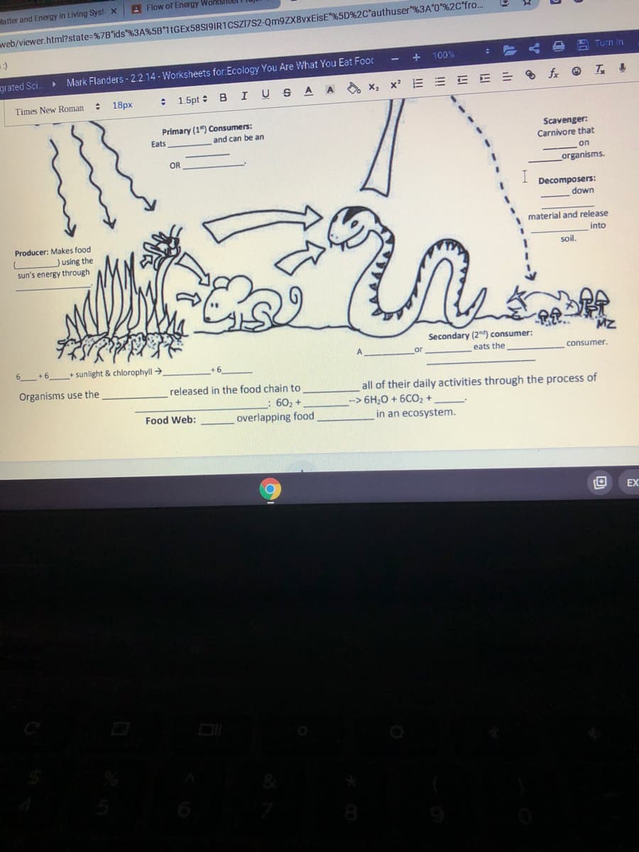 A Flow of Energy WorksiLL
atter and Energy in Living Syst x
web/viewer.html?state=%7B"ids %3A%5B"11GEX58S19IR1CSZI7S2-Qm9ZX8vxEisE"%5D%2C*authuser"%3A"0"%2C°fro..
:)
A Turn In
100%
grated Sci.
Mark Flanders - 2.2.14 - Worksheets for:Ecology You Are What You Eat Foor
1.5pt : BI USA A
I USA A x, x² E E E E = 8 fx T 4
Times New Roman :
18px
Primary (1") Consumers:
and can be an
Eats
Scavenger:
Carnivore that
OR
on
organisms.
I
Decomposers:
down
material and release
Producer: Makes food
Jusing the
sun's energy through
into
soil.
Secondary (2"nd) consumer:
eats the
consumer.
6 +6_+ sunlight & chlorophyll →
Organisms use the
released in the food chain to
all of their daily activities through the process of
-> 6H,0 + 6CO2 +
: 602 +
overlapping food
Food Web:
in an ecosystem.
EX
DI
