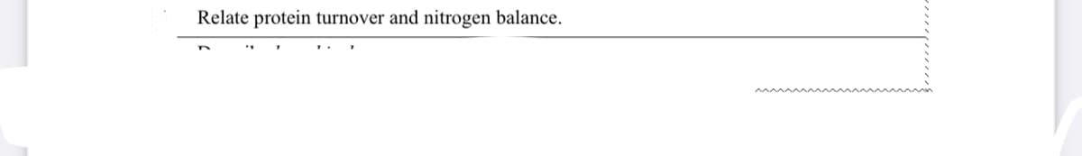 Relate protein turnover and nitrogen balance.
