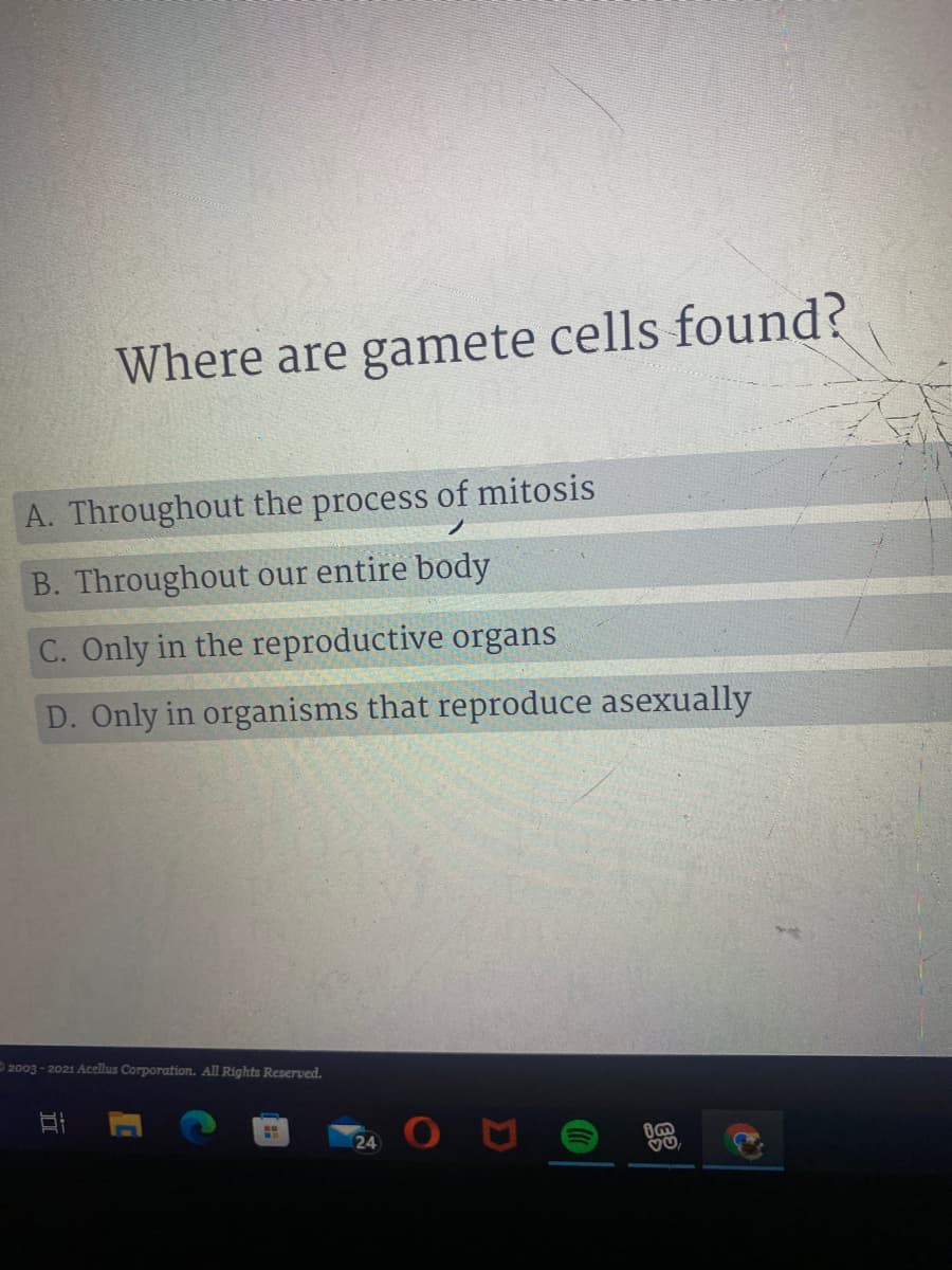 Where are gamete cells found?
A. Throughout the process of mitosis
B. Throughout our entire body
C. Only in the reproductive organs
D. Only in organisms that reproduce asexually
O 2003 - 2021 Acellus Corporation. All Rights Reserved.
24
