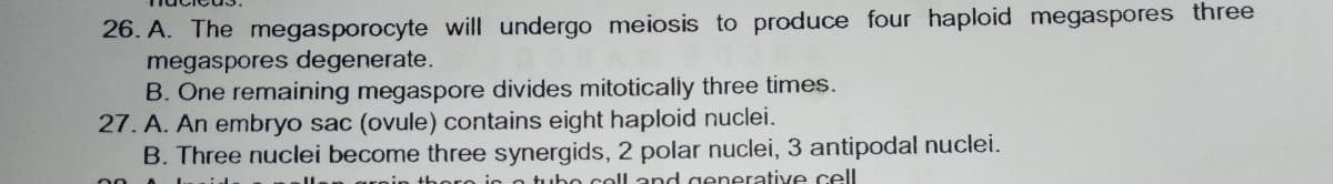 26. A. The megasporocyte will undergo meiosis to produce four haploid megaspores three
megaspores degenerate.
B. Ône remaining megaspore divides mitotically three times.
27. A. An embryo sac (ovule) contains eight haploid nuclei.
B. Three nuclei become three synergids, 2 polar nuclei, 3 antipodal nuclei.
nin thoro in o tubo col and generative cell

