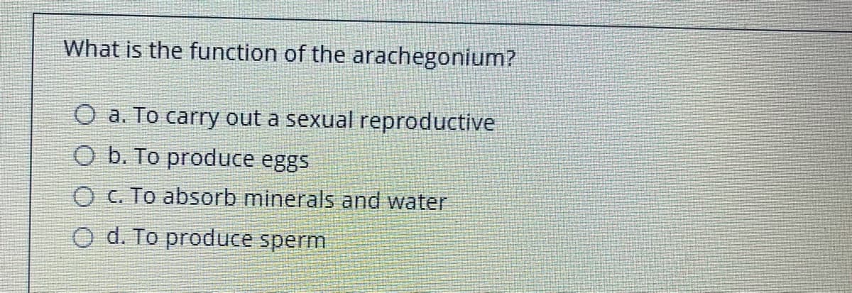What is the function of the arachegonium?
O a. To carry out a sexual reproductive
O b. To produce eggs
O C. To absorb minerals and water
O d. To produce sperm

