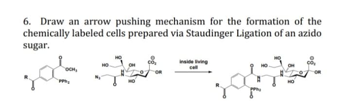 6.
Draw an arrow pushing mechanism for the formation of the
chemically labeled cells prepared via Staudinger Ligation of an azido
sugar.
но
но
но он
inside living
cell
но
он
OCH,
OR
OR
PPhs
HO
но
PPh2
og
