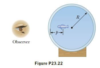 R
Observer
Figure P23.22
