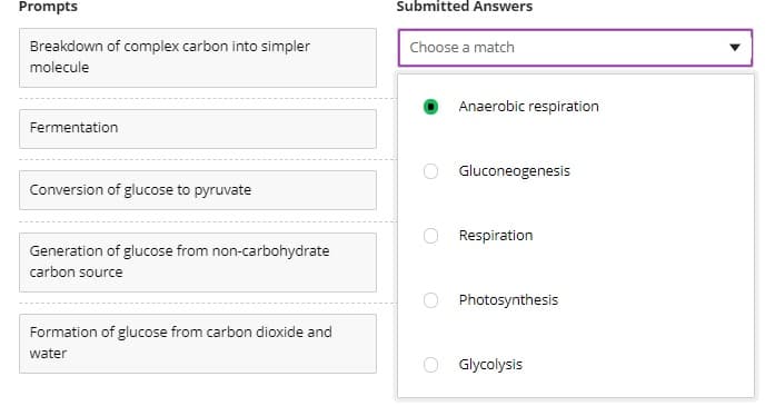 Prompts
Submitted Answers
Breakdown of complex carbon into simpler
Choose a match
molecule
Anaerobic respiration
Fermentation
Gluconeogenesis
Conversion of glucose to pyruvate
O Respiration
Generation of glucose from non-carbohydrate
carbon source
Photosynthesis
Formation of glucose from carbon dioxide and
water
Glycolysis
